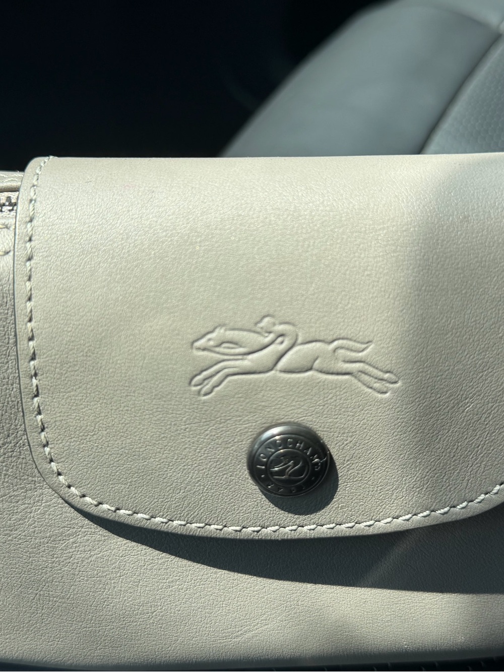 Longchamp Pouch - Picture 3 of 5